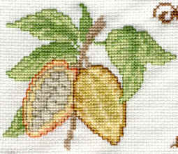 cabosses, fruits du cacaoyer, contenant les fves de chocolat
